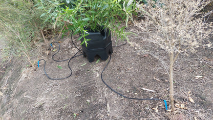 Large/Multi-Tree Expansion Kit