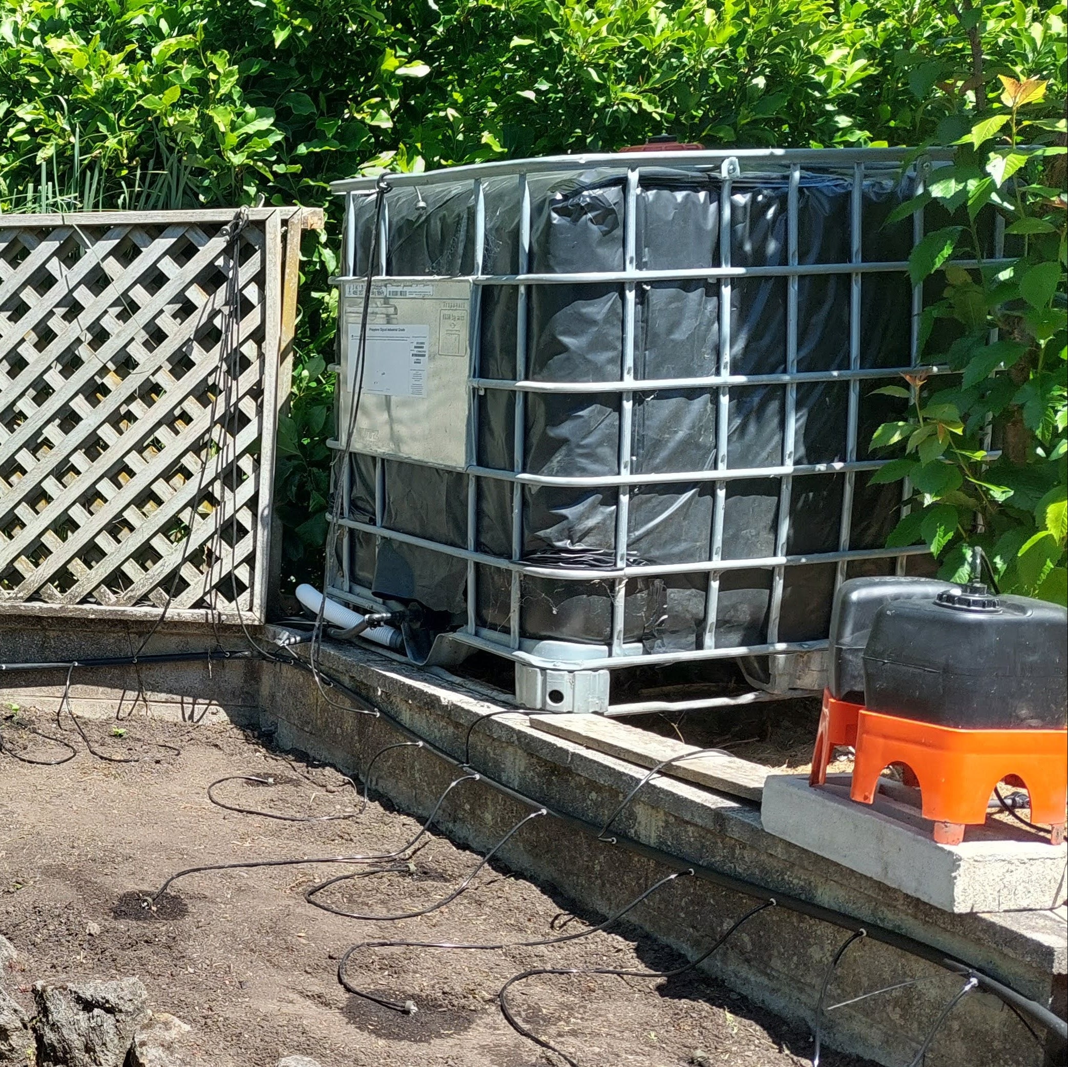 A h2ortigator unit is connected to a black ibc with emitter discharging onto the soil of a home garden bed