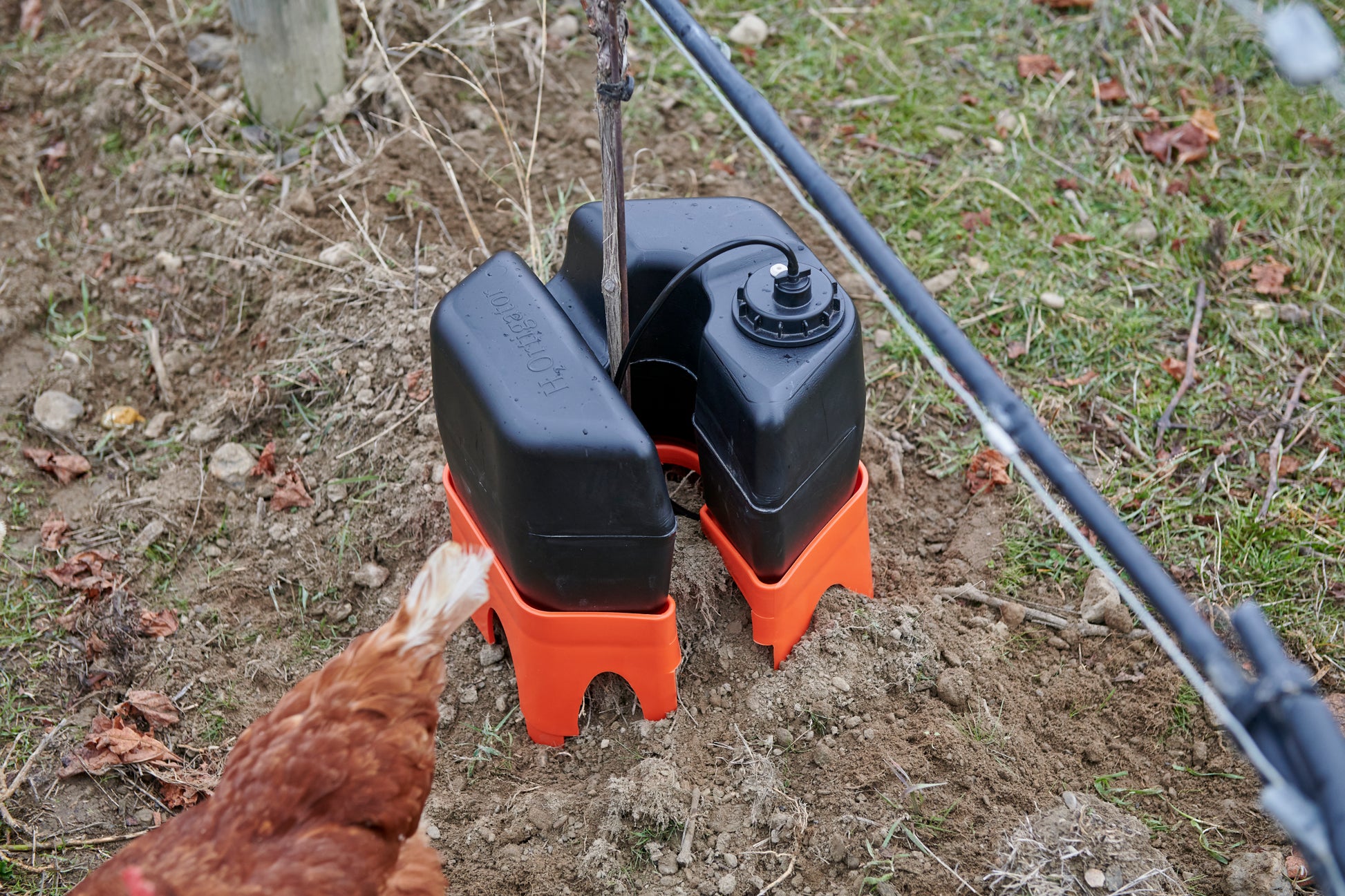 h2ortigator in a central otago vineyard with a chicken departing after investigating the pod