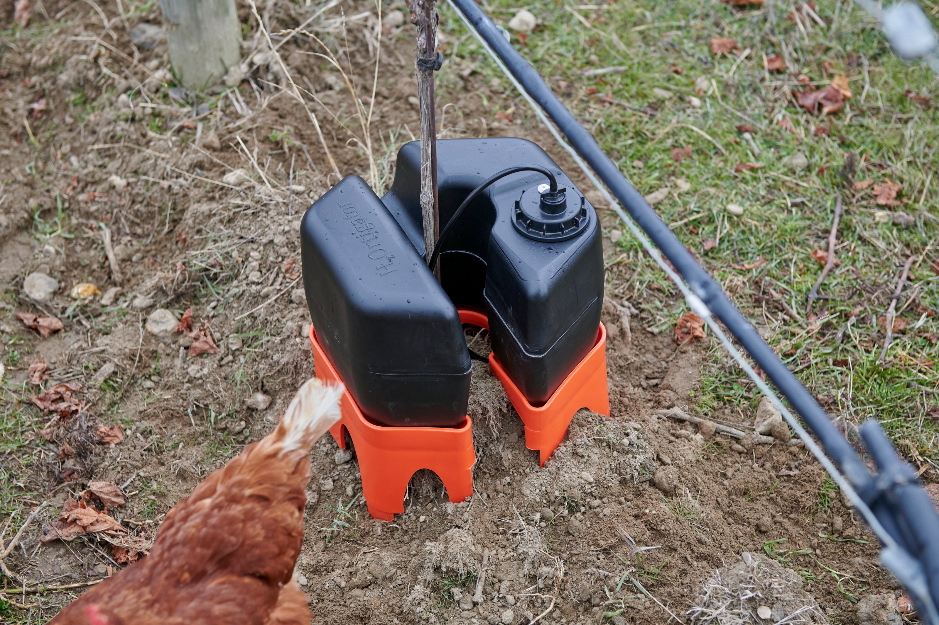 h2ortigator in a central otago vineyard with a chicken departing after investigating the pod