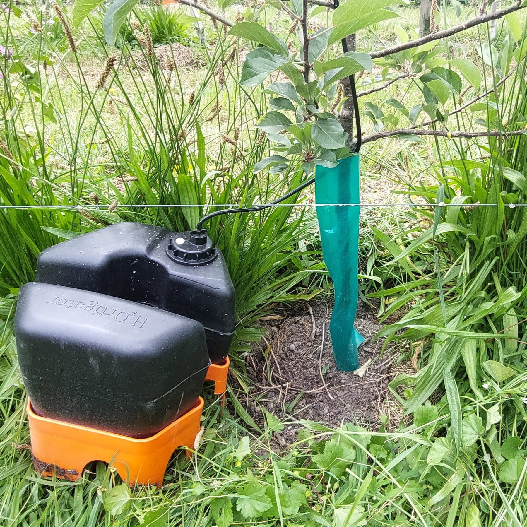 a h2ortigator pod removed from a young tree. a circle around the tree has no weeds, while there are many weeds further out from the tree, showing the impressive weed control h2ortigator provides